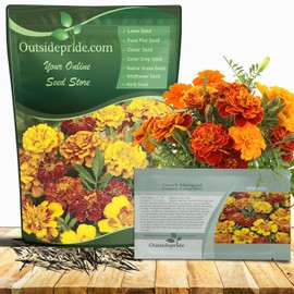 Outsidepride French Marigold Seeds Mix - 1/4 Lb. Annual, Compact, Heat & Drought Tolerant Flower Seeds for Planting w/Orange & Yellow Prolific Blooms, Ideal for Vibrant Pollinator Gardens