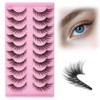 LOPHE 10PCS Cat Eye Lashes False Eyelashes, Thick and Soft