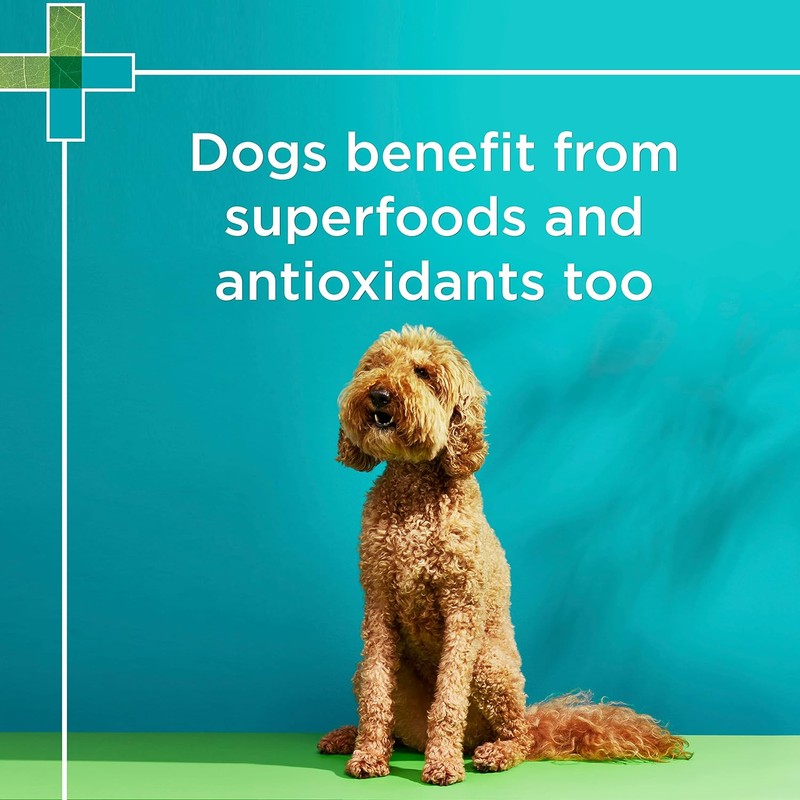PAW By Blackmores Wellness + Vitality (For Dogs approx 60