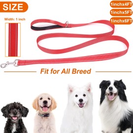 Petbuy Double-Sided Reflective Dog Leash for Large & Medium and Small Dogs, Strong and Durable Pet Nylon Leashes with Soft Padded Handle Leashes,Puppy Leash with D Ring (Red, 1inch X 4FT)
