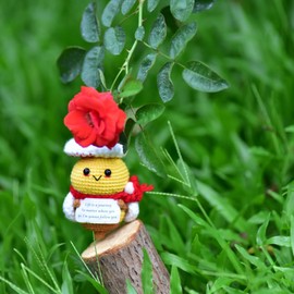 qyqkfly 1 Pcs Funny Positive Crochet Bee Butterfly DragonflyHandmade Mental Health Emotional Support Encouragement for Women Men Birthday Christmas Pickle Potato Easter Birthday Gifts Party Decor(1)