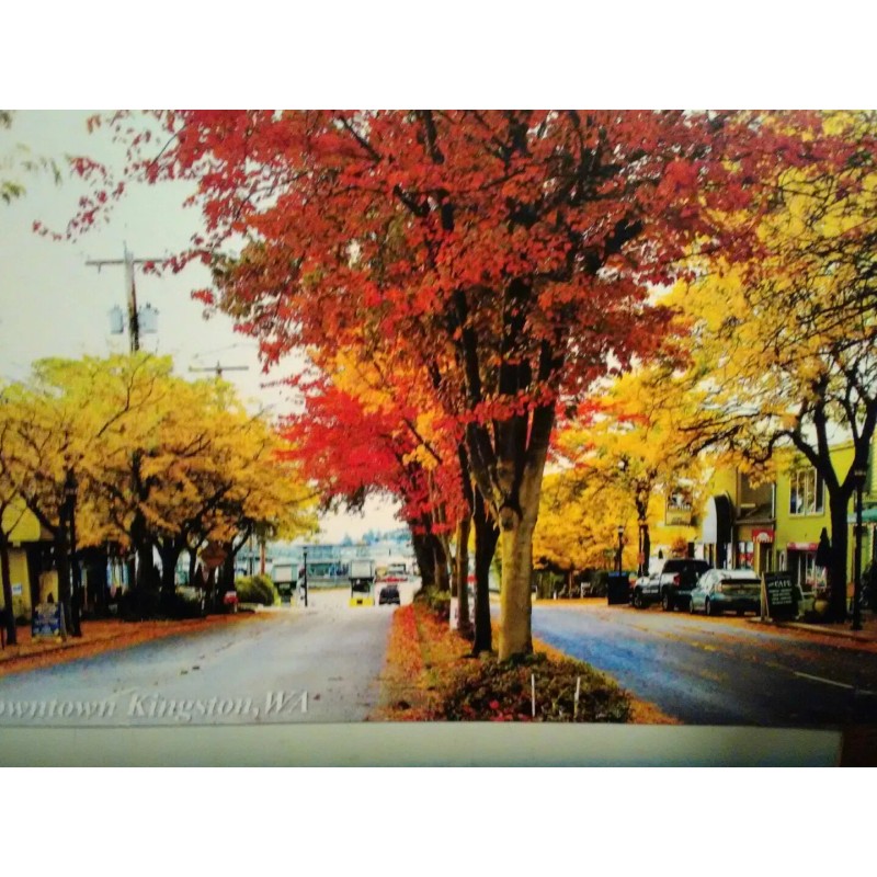 PACIFIC NORTHWEST BEAUTIFUL PHOTO POST CARD DOWNTOWN KINGSTON WASHINGTON