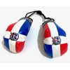 Dominican Boxing gloves flags for car accessories Dominican Republic flag