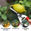 Kynup Pruning Shears 3 Pack Professional Pruner Set with Gardening