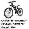 ENGINE PRO 🔥battery Charger power supply For ANCHEER Gladiator 500W