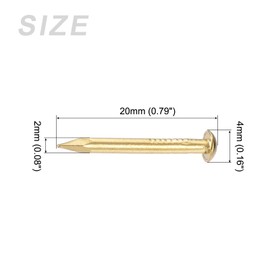 METALLIXITY Small Nails Brass Hardware for Household Woodwork 2 x 20 mm Brass Pack of 60