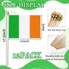 WEITBF 12 Pack 8×12 Inch Ireland Flags Small Irish Flags