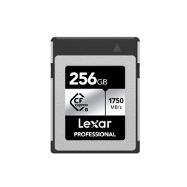 Lexar 256GB Professional CFexpress Type B Silver Series Memory Card, for Photographers, Videographers, Up to 1750/1300 MB/s, 8K Video (LCXEXSL256G-RNENG)