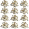Allgala 12-pc 6" Large Everyday Pull Bows, White with Gold