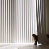 30 Sets (60 Pcs) Vertical Blinds Replacement Slats Panels, Vertical