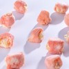 Thappy Fruit Freeze Dried Rambutan Stuffed with Pineapple Delight –