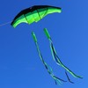 TianYueFly Huge 3D Adult Gliders Kite, 120" in Giant Single
