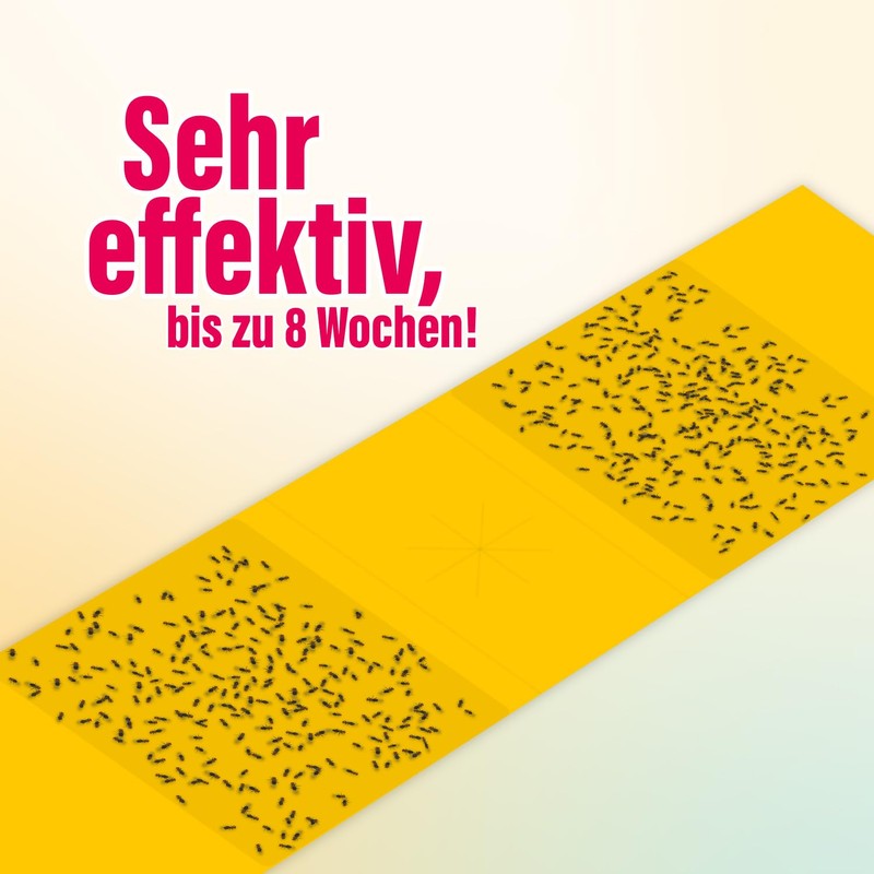 inseko Fruchtfliegen Falle I effektive Obstfliegenfalle I inkl. Fruchtfliegenköder und