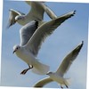 Hohopeti Pigeons Leg Rings 100 Pack Plastic Clip Rings for