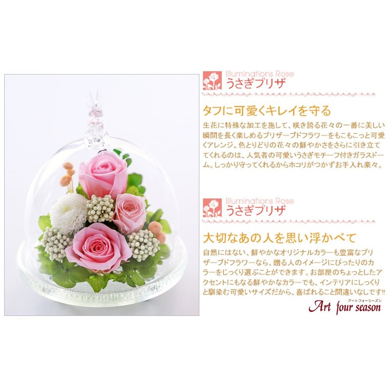 Art Four Season Luminous Rose, Preserved Flower, Rabbit