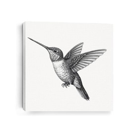 Vintage Hummingbird Gifts Hummingbird Decor Bird Lovers Garden Farmhouse Living Room Bedroom Girls Room Wall Decor Canvas Wall Art Artwork for Walls Paintings Pictures Framed Art Prints 7.8X7.8 Inch