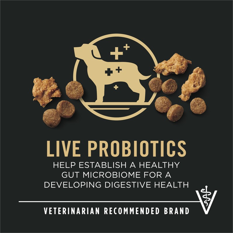 Purina Pro Plan High Protein Puppy Food Shredded Blend Chicken