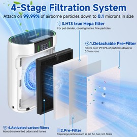 2+4 Pack 4-in-1 AP2000WF Air Filter Replacement Compatible with KNKA Air Puri-Fier 4-in-1 H13 True HEPA Filter Fit for KNKA AP2000WF Air Puri-Fier for Home Large Room Bedroom up to 1740 Ft²