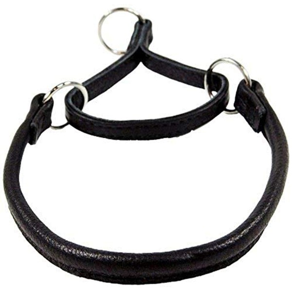 Dogline 1/4-Inch Wide Soft Rolled Genuine Leather Martingale Collar, 12-Inch, Black