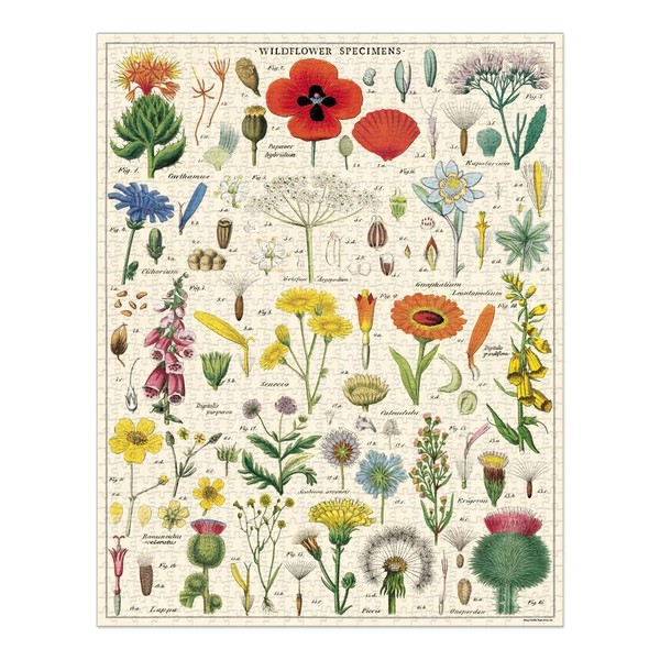 Cavallini Papers & Co. Wildflowers 1,000 Piece Puzzle, Multi