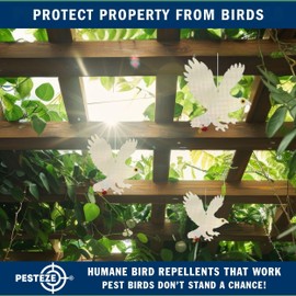 PESTEZE Shiny Holographic Owl Bird Repellent with 2 Bells [12.5 x 16 inch] Sound & Reflection Deters Woodpeckers, Pigeons, Crows, Ducks, Geese & Critters from Yards Without Harm to Protect Property