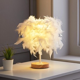 Meichoon Feather Table Lamp USB Plug-in LED Decorative Ambient Night Light Fixed Warm Light Soft Eye Protection for Bedroom Living Room LE22 White