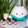 LittleHippo Set of 6 Premium 100% Pure Essential Oils 10ml