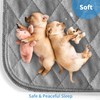 Washable Reusable Dog Pee Pads, 34"x52" Absorbent & Waterproof Puppy