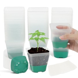 30 Packs Clear Nursery Pots with Plant Labels 3 Inch Plastic Plant Pot with Silicone Base and Drainage Holes Reusable Seedling Pots