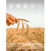 TeeLux Barley Tea Bags, Pure Roasted Barley Tea, Caffeine Free,