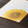 Midori 88733006 Summer Letter Foil Sunflower Postcard