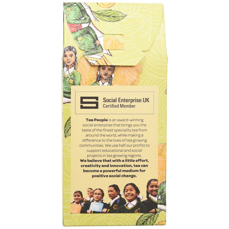 Tea People Moroccan Mint, 15 Tea Pyramids in Retail Pack,