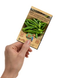 Okra Clemson Spineless Seeds - Non-GMO Heirloom Okra Seeds for Planting Home Garden - Pack of 50 Open Pollinated Vegetable Seeds - Grow Your Own Veggies w/Okra Seeds - Planting Guide Included