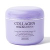 Jigott Collagen Healing Cream