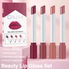 Xumann 4PCS Plumping Lipstick Set, Long Lasting Lipgloss Set for