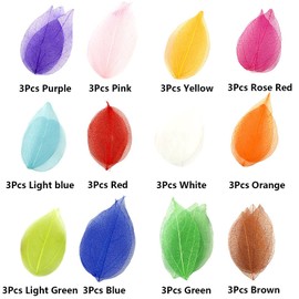 HAOBIN Natural Dry Leaves Dried Leaves Artificial Silk Leaves Decorative Leaves Craft Dry Leaves for Crafts DIY Resin Scrapbook Craft Card Making, 12 Colours, 36 Pieces