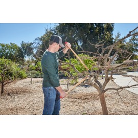 Corona WL 6450 ClassicCUT Bypass Lopper, 32-Inch , Red