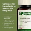 Ferrofood 150 Capsules