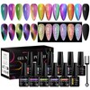Magnetic Cat Eye Gel Nail Polish Set, 12 Colors Magnetic