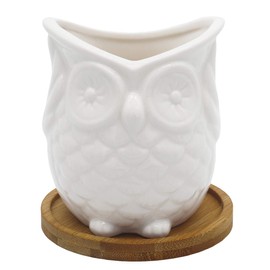 Ceramic Owl Succulent Planter Pot with Drainage Tray, Cute Animal Cactus Flower Container, White Bonsai Holder for Indoor Plants