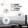 Gewo Ultra SLP 6 Piece Ball without Seam/Maximum Roundness Table