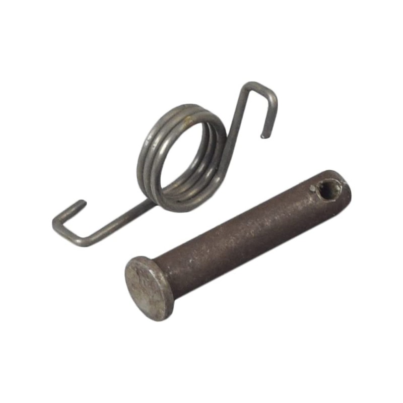 AlveyTech Foot Peg for Dirt Bikes, Mini Bikes, & Scooters