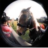 holga120 For Fisheye fel120