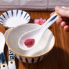 Japanese Soup Spoons Ramen Spoons Asian Chinese Soup Spoons