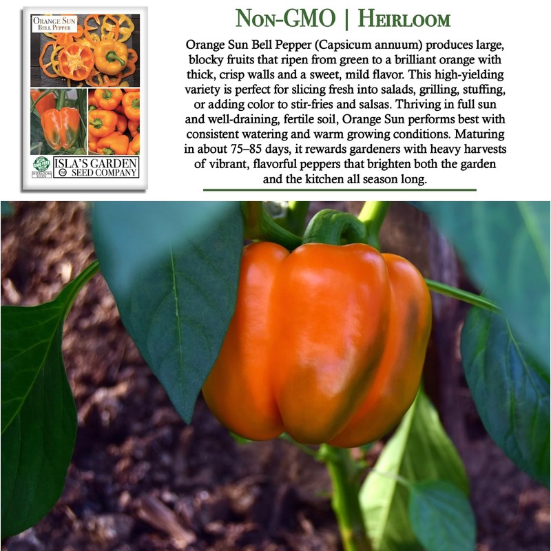 Orange Sun Bell Pepper Seeds (Capsicum annuum) – 100+ Non-GMO