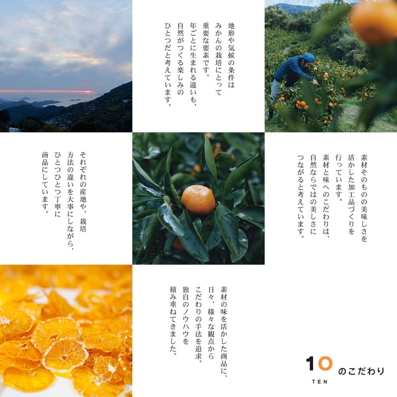 10FACTORY コラーゲンゼリー BIURA ビウラ ポンカン風味 120g 愛媛産 みかんゼリー 新田ゼラチン 国産