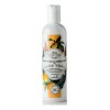 Shampoo de Aloe Vera Orgánico Organic Aloe Vera Shampoo Body