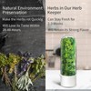 UEOZ Herb Keeper for Refrigerator, Herb Saver for Refrigerator, Vegetable