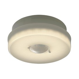 IQ America Battery Operated Motion Sensor Ceiling Light 7 inch - 1 Light