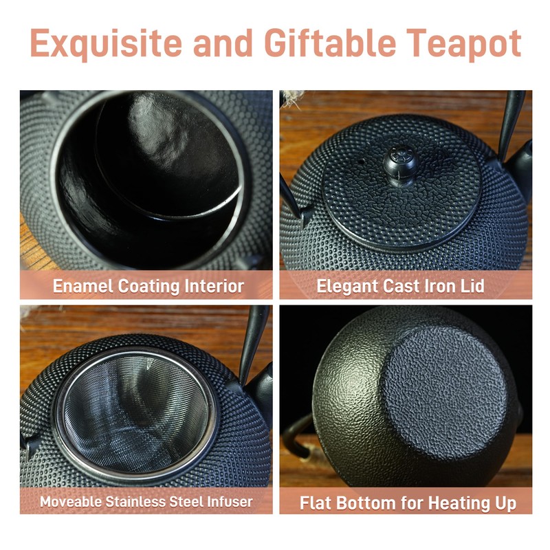 SECHUDO Japanese Tetsubin Cast Iron Teapot Tea Kettle pot with